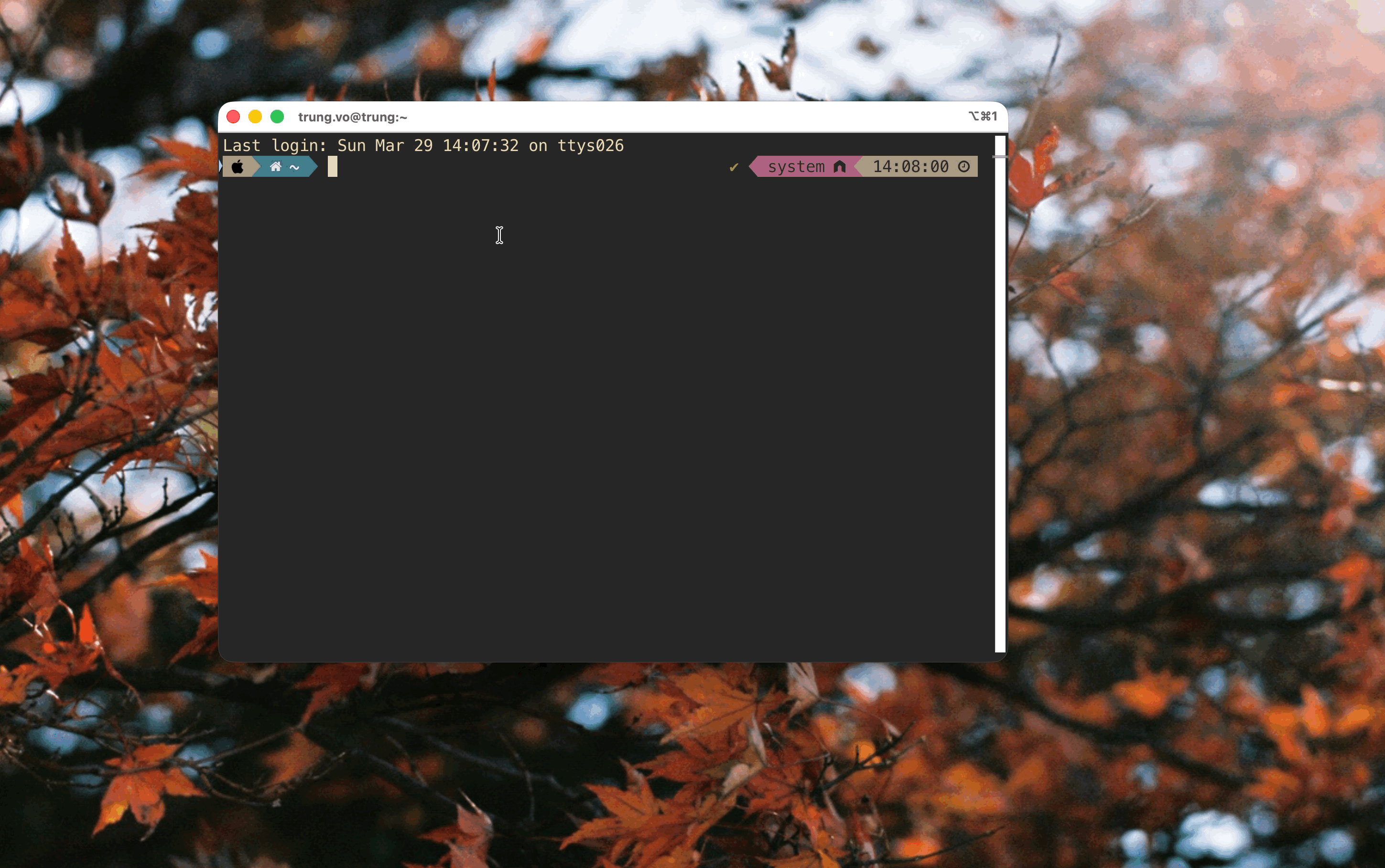 fzf-open function selecting and opening a project
