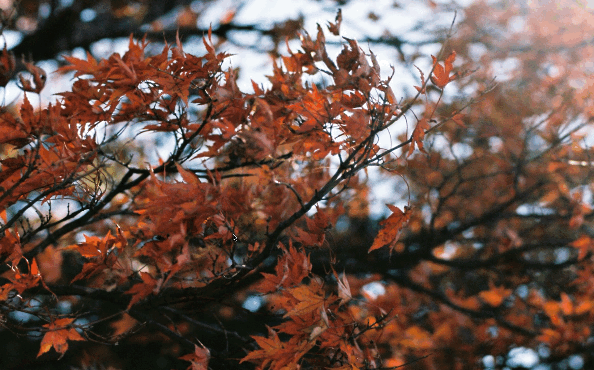 Fuzzy searching and opening a project from anywhere on macOS