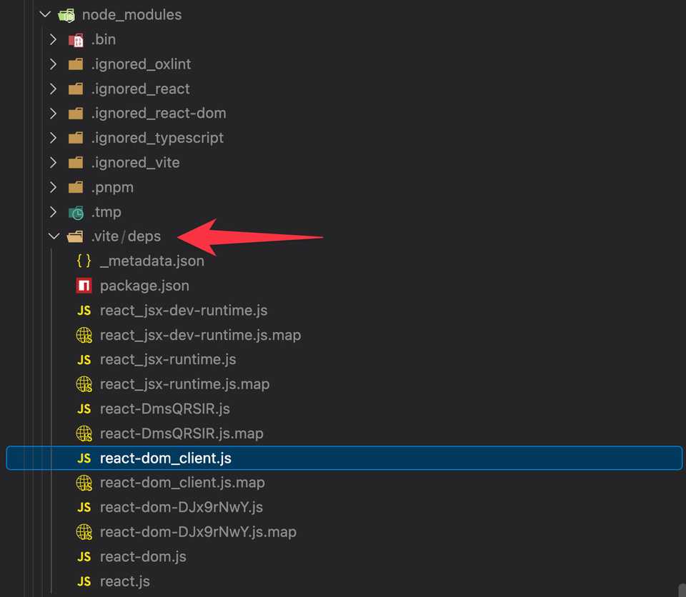 node_modules/.vite/deps folder with the pre-bundled react and react-dom files