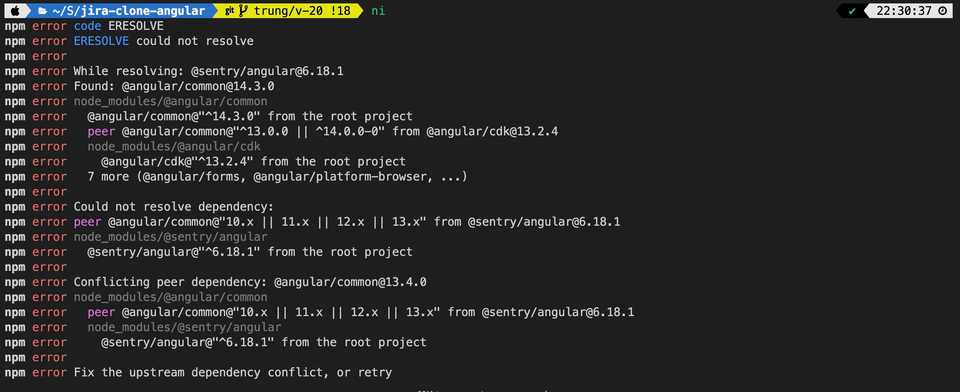 Sentry version issue