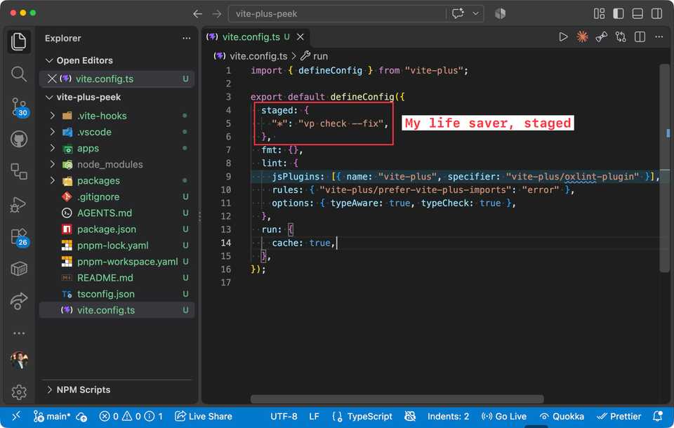 The generated monorepo in VS Code with a single vite.config.ts holding staged, fmt, lint and run config