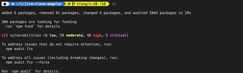 npm install success