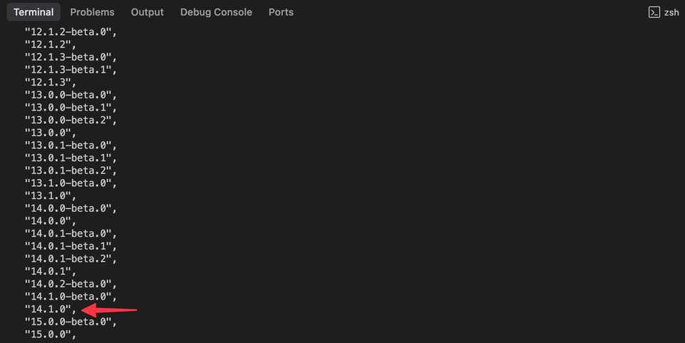 Custom webpack versions